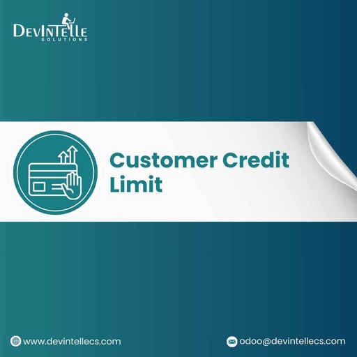 [dev_customer_credit_limit_report] Customer Credit Limit Report