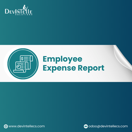 [dev_employee_expense_report] Employee Expense Report